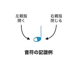 Thumpy open-closed